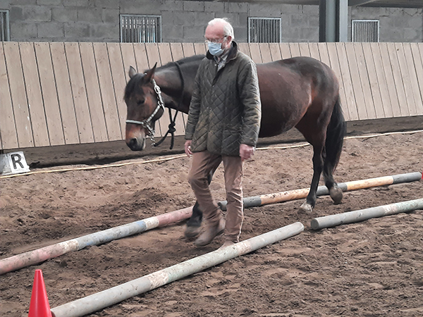 Formations expérientielles assistées par le cheval aux portes de Nantes à Carquefou LEADERSHIP - COHÉSION D’EQUIPE EN ENTREPRISE