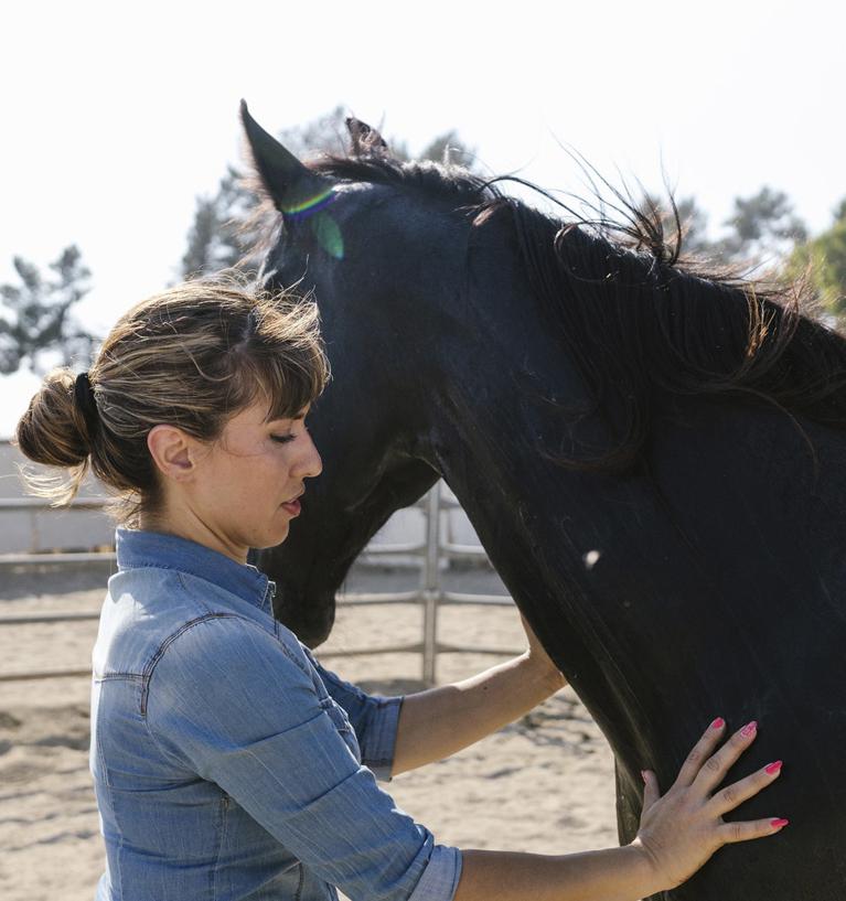 POUR LES PARTICULIERS En individuel ou en binôme Coaching bien-être assisté par le cheval
